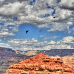 "The Cats Eye" Grand Canyon, AZ